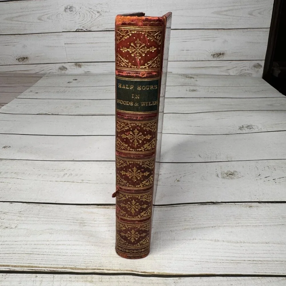 Half Hours in Woods and‎ Wilds 1883 HC Wm. Isbister Leather Spine Gift